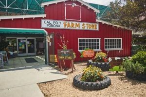 Your Local Kellogg Farm Store: Farming Essentials & More! | The Conscious Farmer | Sustainable Agriculture for a Healthier Planet