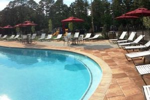 Your Guide to Echo Farms Pool: Hours, Rules & More! | The Conscious Farmer | Sustainable Agriculture for a Healthier Planet