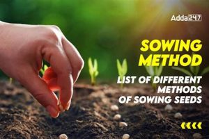 Why Seed Farming Matters: Keys to Sustainable Farming | The Conscious Farmer | Sustainable Agriculture for a Healthier Planet