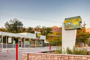 Visit Maggie's Farm in Manitou Springs, CO: Your Cannabis Guide | The Conscious Farmer | Sustainable Agriculture for a Healthier Planet