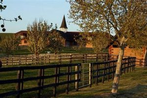 Exploring Windfall Farms: Sustainable Farming Secrets | The Conscious Farmer | Sustainable Agriculture for a Healthier Planet