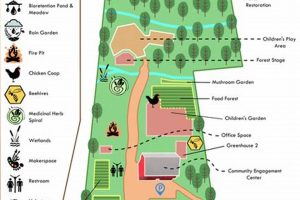 Grow Strong at Freetown Farm: Your Urban Oasis! | The Conscious Farmer | Sustainable Agriculture for a Healthier Planet