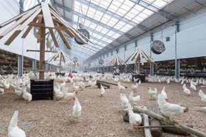 Future Farming: Human Egg Farm - Ethics & Tech | The Conscious Farmer | Sustainable Agriculture for a Healthier Planet