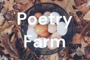Poetry Farming Oasis: Cultivate Your Verse | The Conscious Farmer | Sustainable Agriculture for a Healthier Planet