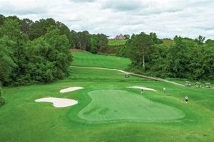 Play Bradshaw Farms Golf: Tee Off Near the Farm! | The Conscious Farmer | Sustainable Agriculture for a Healthier Planet