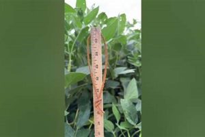 [Farming] Pro Farmer Crop Tour 2024: Yield Insights & Analysis | The Conscious Farmer | Sustainable Agriculture for a Healthier Planet