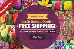 Get Holland Bulb Farms Free Shipping Code: Deals & Tips | The Conscious Farmer | Sustainable Agriculture for a Healthier Planet