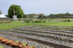 Explore Casey Farm Saunderstown: A Rhode Island Gem | The Conscious Farmer | Sustainable Agriculture for a Healthier Planet