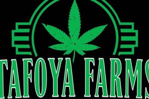 Discover Tafoya Farms: Sustainable Farming Practices | The Conscious Farmer | Sustainable Agriculture for a Healthier Planet