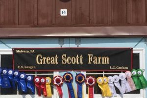 Visit Great Scott Farm PA: Your Local Farming Escape | The Conscious Farmer | Sustainable Agriculture for a Healthier Planet