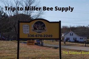 Your Local Miller Bee Farm: Honey & More! | The Conscious Farmer | Sustainable Agriculture for a Healthier Planet