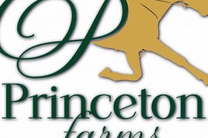 Discover Princeton Farms: Local Harvests & More | The Conscious Farmer | Sustainable Agriculture for a Healthier Planet