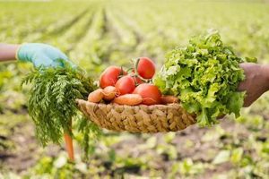 Go Green: Natural Farms & Sustainable Farming | The Conscious Farmer | Sustainable Agriculture for a Healthier Planet