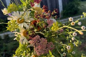 Why Loving Farms Matters: Sustainable Farming | The Conscious Farmer | Sustainable Agriculture for a Healthier Planet