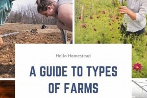 Build a Type Farm: The Future of Font Farming! | The Conscious Farmer | Sustainable Agriculture for a Healthier Planet