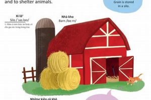 Farm to Barn Flavor: Unlocking 'L V G' Taste? | The Conscious Farmer | Sustainable Agriculture for a Healthier Planet