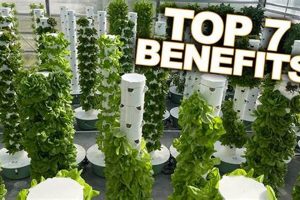 Grow Up: Tower Farmer Secrets for Vertical Farming | The Conscious Farmer | Sustainable Agriculture for a Healthier Planet
