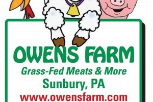 Discover Owens Farm: Fresh &amp; Local Produce | The Conscious Farmer | Sustainable Agriculture for a Healthier Planet