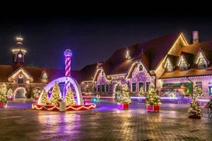 Grant's Farm Lights: A Holiday Farming Spectacle! | The Conscious Farmer | Sustainable Agriculture for a Healthier Planet
