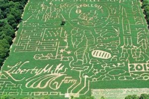 Visit Liberty Mills Farm VA: Fun on the Farm! | The Conscious Farmer | Sustainable Agriculture for a Healthier Planet