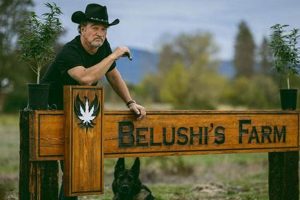 Find Belushi Farms: Where to Buy Near You [Location Tips] | The Conscious Farmer | Sustainable Agriculture for a Healthier Planet