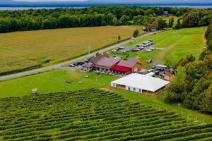 Discover Snow Farm Vineyard & Winery: Vermont Wine! | The Conscious Farmer | Sustainable Agriculture for a Healthier Planet