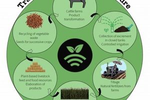 Eco-Loop Farming: Circular Farming for a Sustainable Future | The Conscious Farmer | Sustainable Agriculture for a Healthier Planet