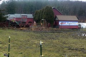 Visit Wells Hollow Farm, Shelton CT: Fun & Local! | The Conscious Farmer | Sustainable Agriculture for a Healthier Planet