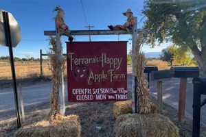 The Joyful Happy Apple Farm: Orchard Delights & More! | The Conscious Farmer | Sustainable Agriculture for a Healthier Planet