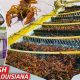 Profitable Crawfish Farm: Tips & Secrets to Farming Success | The Conscious Farmer | Sustainable Agriculture for a Healthier Planet