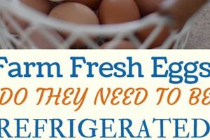 Farming Facts: Do Farm Eggs Need to be Refrigerated? Guide | The Conscious Farmer | Sustainable Agriculture for a Healthier Planet
