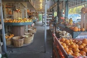Discover Lineberger's Maple Springs Farm: Your Local Maple Syrup | The Conscious Farmer | Sustainable Agriculture for a Healthier Planet