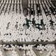 Georgia Egg Farm Guide: Production &amp; Farming Tips | The Conscious Farmer | Sustainable Agriculture for a Healthier Planet