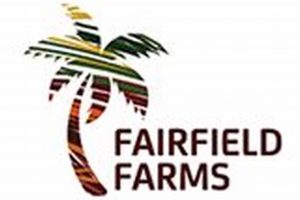 Discover Fairfield Farm: Your Local Farming Oasis | The Conscious Farmer | Sustainable Agriculture for a Healthier Planet