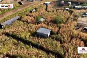 Escape Insanity Farms: Cultivating a Healthy Workplace | The Conscious Farmer | Sustainable Agriculture for a Healthier Planet