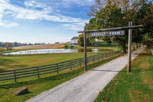 Discover Crebilly Farm: Sustainable Farming Practices | The Conscious Farmer | Sustainable Agriculture for a Healthier Planet