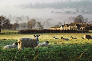 Grow Your Own! English Farm Life & Beyond | The Conscious Farmer | Sustainable Agriculture for a Healthier Planet
