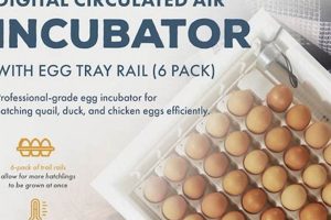Grow Farming: Farm Innovators Incubator Programs Guide | The Conscious Farmer | Sustainable Agriculture for a Healthier Planet