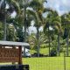 Why Ok Farms &amp; Beyond: Sustainable Farming | The Conscious Farmer | Sustainable Agriculture for a Healthier Planet