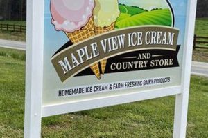 Enjoy Maple View Farm Ice Cream - Hillsborough, NC Sweet Spot! | The Conscious Farmer | Sustainable Agriculture for a Healthier Planet