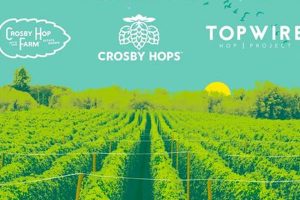 Explore Crosby Hop Farm: Quality Hops for Brewing | The Conscious Farmer | Sustainable Agriculture for a Healthier Planet