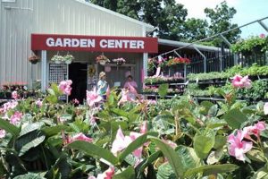 Grow Your Moneta Farm: Profitable Farming Tips | The Conscious Farmer | Sustainable Agriculture for a Healthier Planet