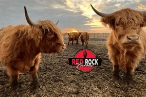 Discover: Red Rock Farm's Bounty & Beyond | The Conscious Farmer | Sustainable Agriculture for a Healthier Planet