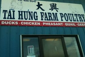 Tai Hung Farm Poultry: Eggs, Meat & More Farming | The Conscious Farmer | Sustainable Agriculture for a Healthier Planet