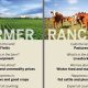 Farming vs Ranching: Which Agriculture Method is Right? | The Conscious Farmer | Sustainable Agriculture for a Healthier Planet