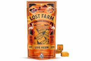 Reviving a Lost Farm: Reclamation and Solutions | The Conscious Farmer | Sustainable Agriculture for a Healthier Planet