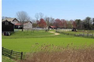 Visit Longstreet Farm: A Historic Farming Experience | The Conscious Farmer | Sustainable Agriculture for a Healthier Planet