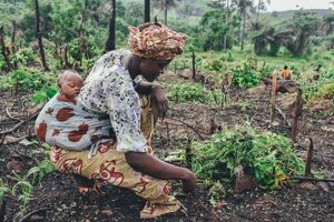 What is Subsistence Farming Def? Plus More on Survival Farming | The Conscious Farmer | Sustainable Agriculture for a Healthier Planet