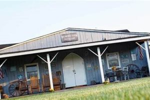 Discover Belmont Farm: Sustainable Farming Practices | The Conscious Farmer | Sustainable Agriculture for a Healthier Planet