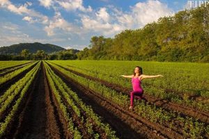 Gaia Farm: Sustainable Farming for a Better World | The Conscious Farmer | Sustainable Agriculture for a Healthier Planet